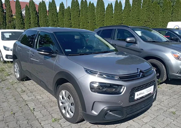 samochody osobowe Citroen C4 Cactus cena 53800 przebieg: 55481, rok produkcji 2019 z Człuchów